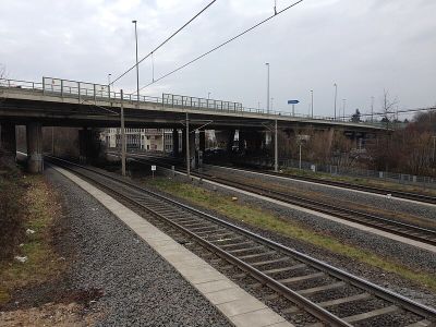 Tausendfüßler