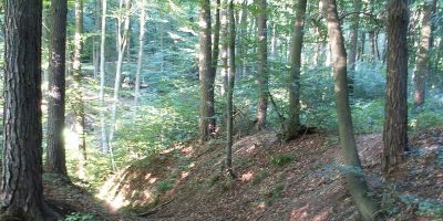 Venner Ringwall