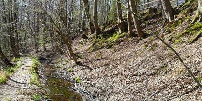 Villiper Bach