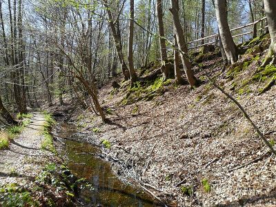 Villiper Bach