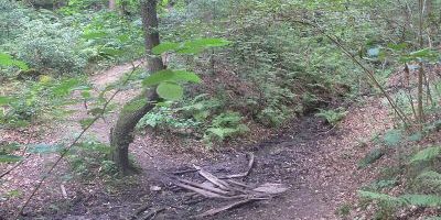 Wolfsbachtal