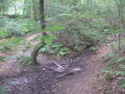 Wolfsbachtal