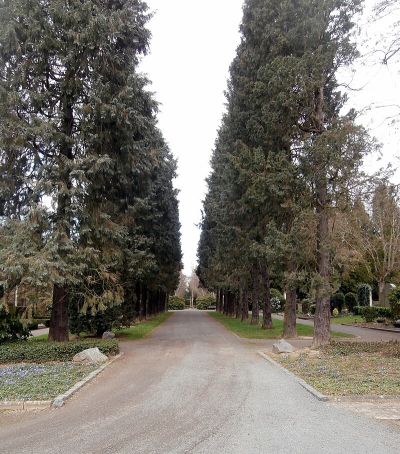 Zentralfriedhof