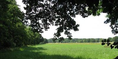 Feldhauser Mühlenbach