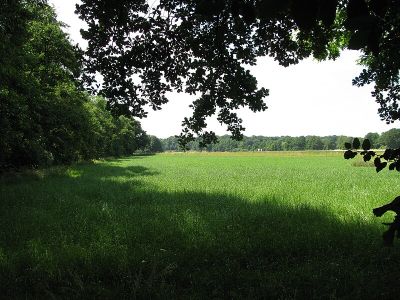 Feldhauser Mühlenbach