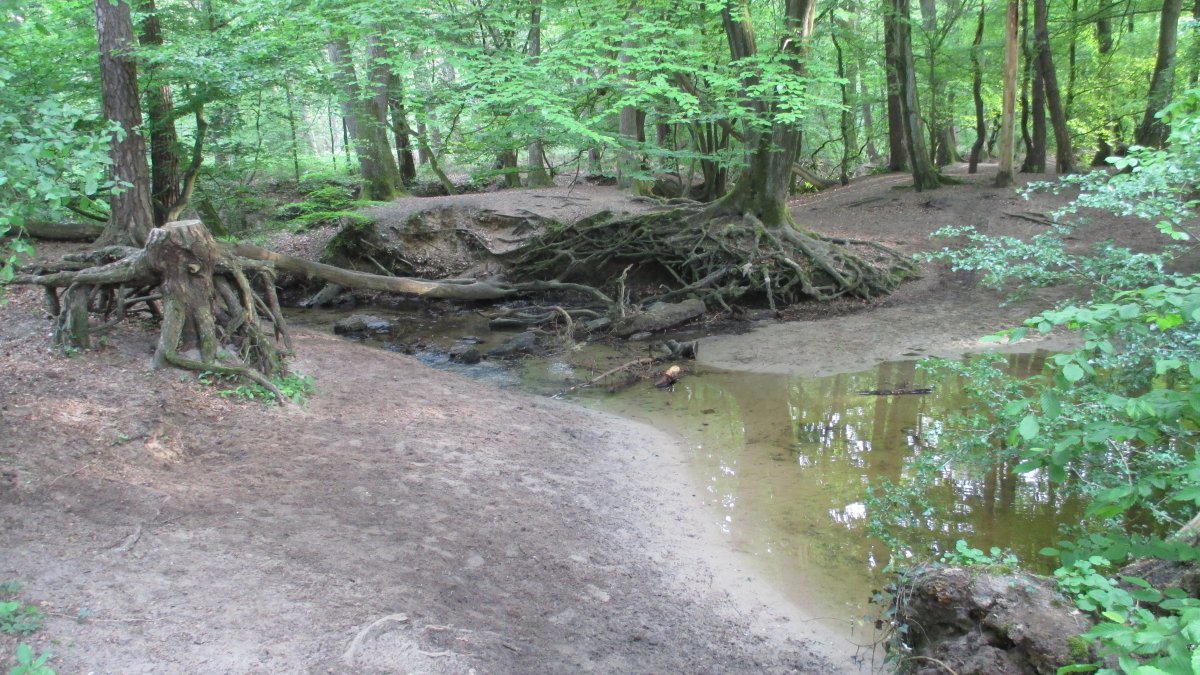 Kirchheller Heide, Schwarzbach