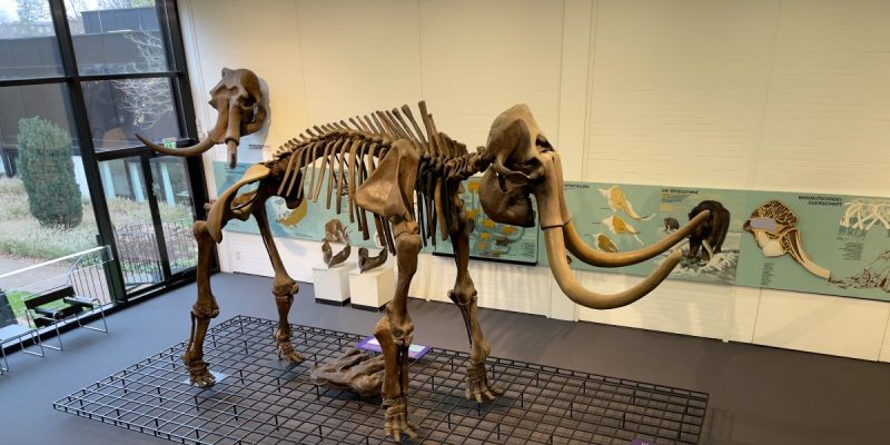 Museumszentrum Quadrat