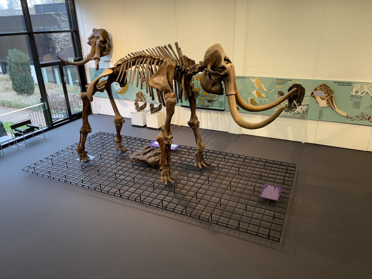 Museumszentrum Quadrat