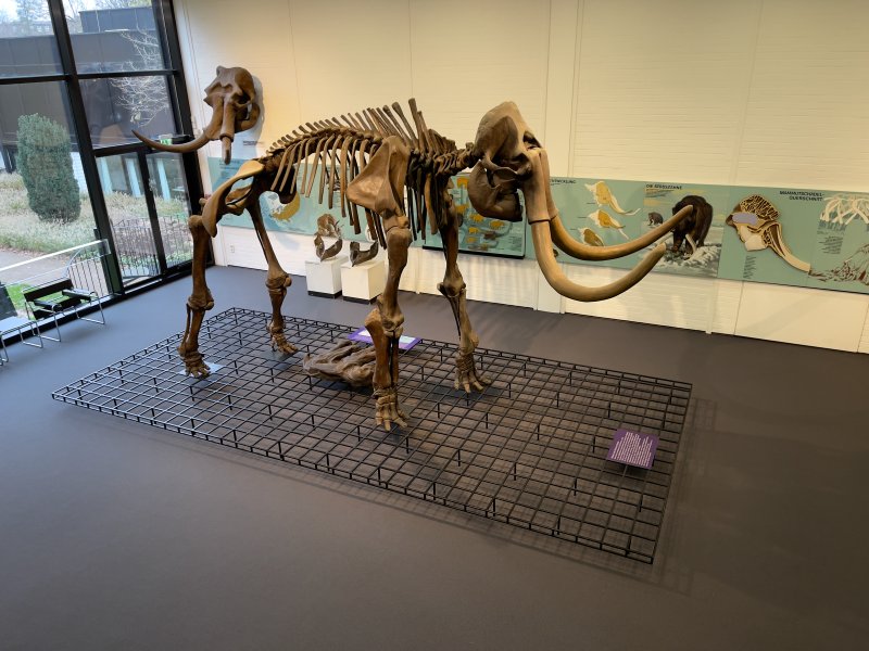 Museumszentrum Quadrat