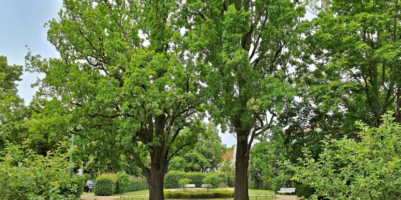 Gertrud-Piter-Platz