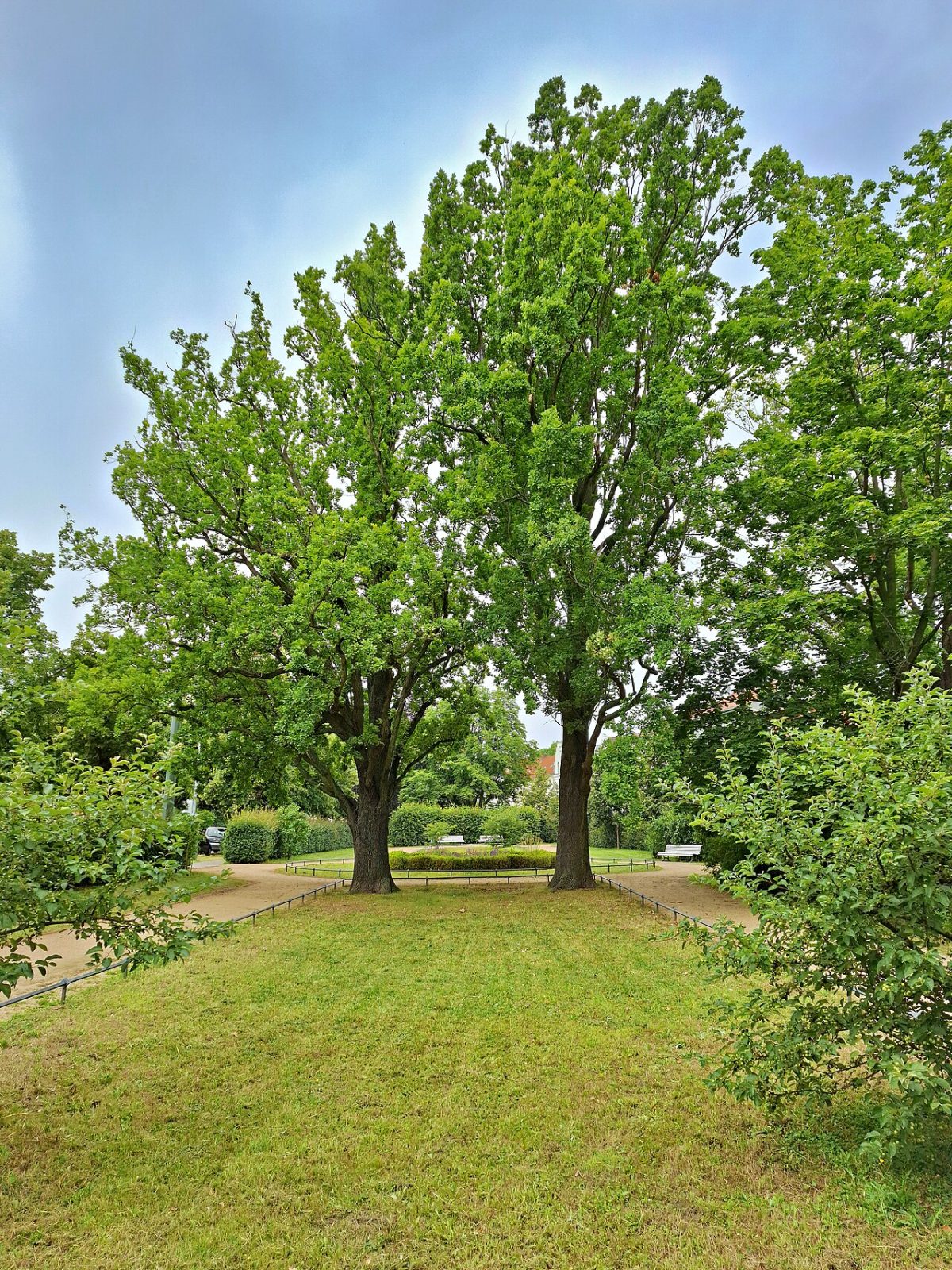 Gertrud-Piter-Platz