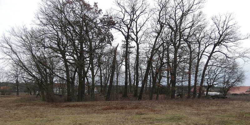 Motte von Mahlenzien