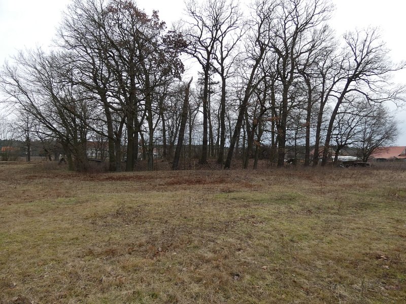Motte von Mahlenzien