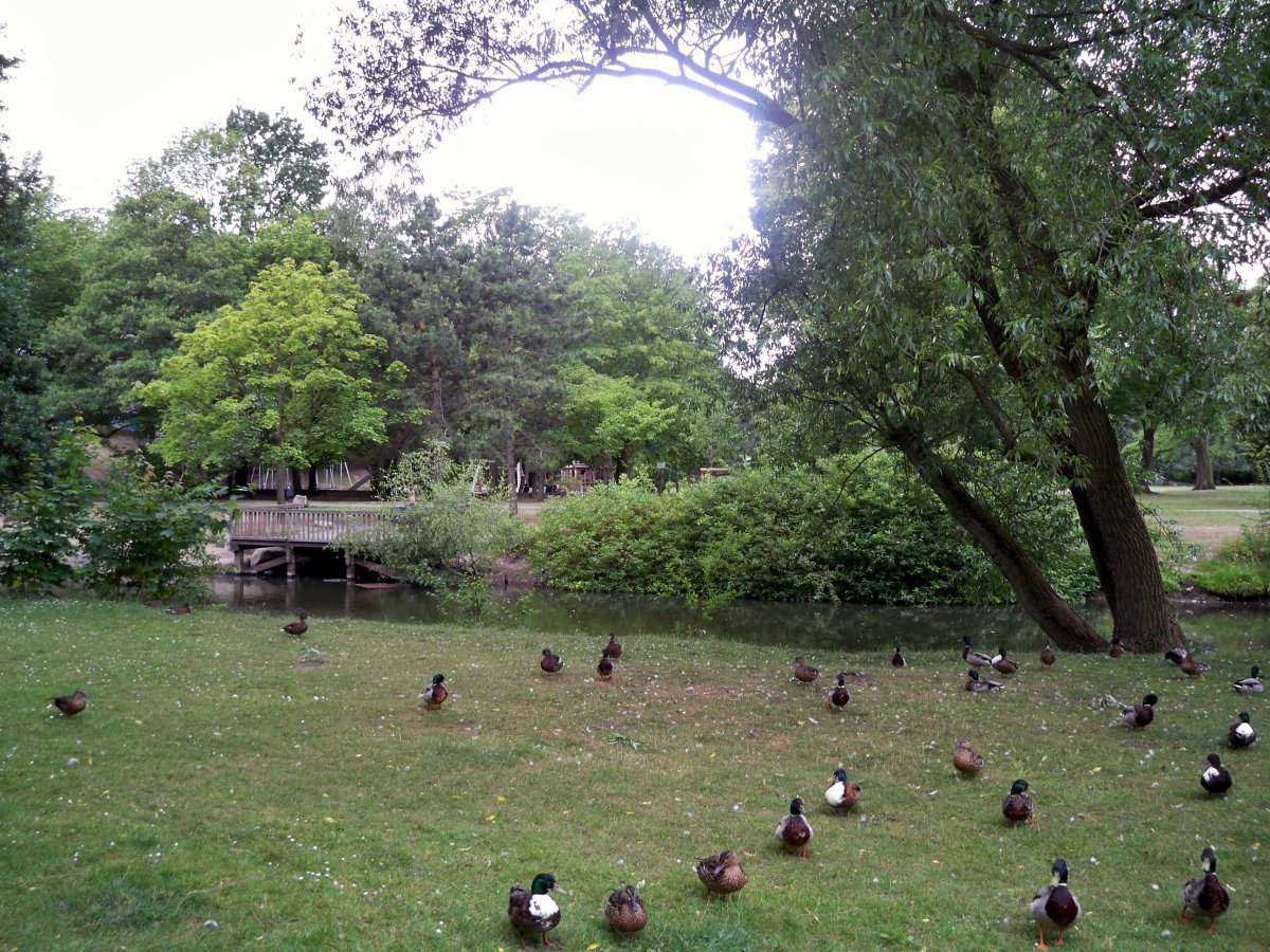 Inselwallpark (Gaußpark)