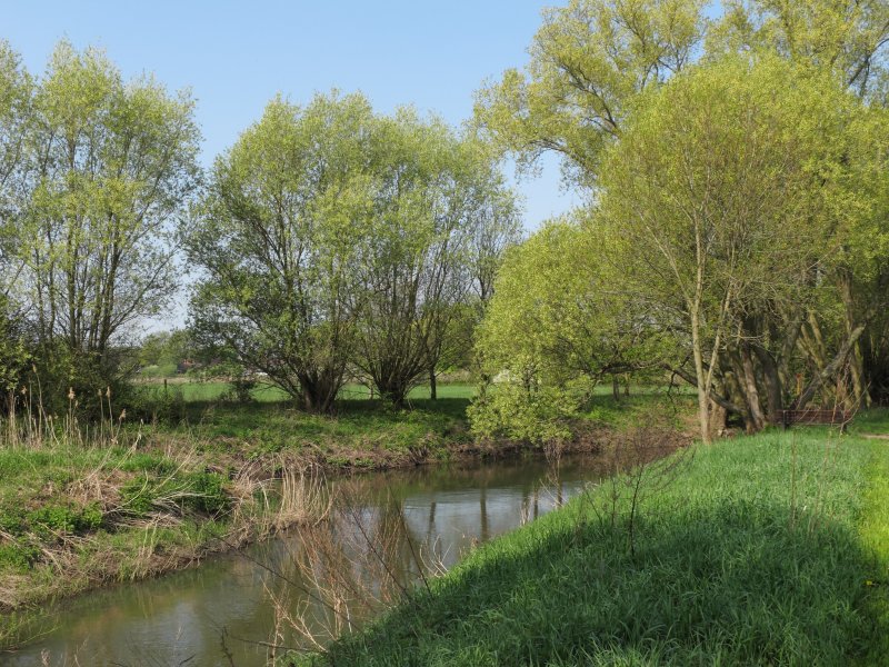 Naturschutzgebiet Nördliche Okeraue zwischen Hülperode und Neubrück
