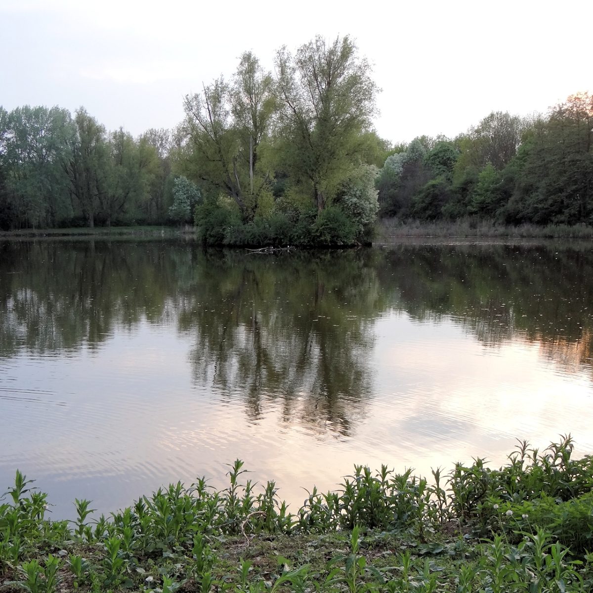 Raffteichbad
