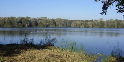 Dunger See (Nordwest 1)