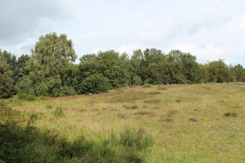 Eispohl/Sandwehen