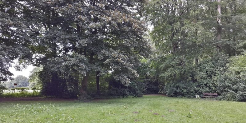 Friedehorstpark