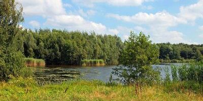 Grambker Feldmarksee