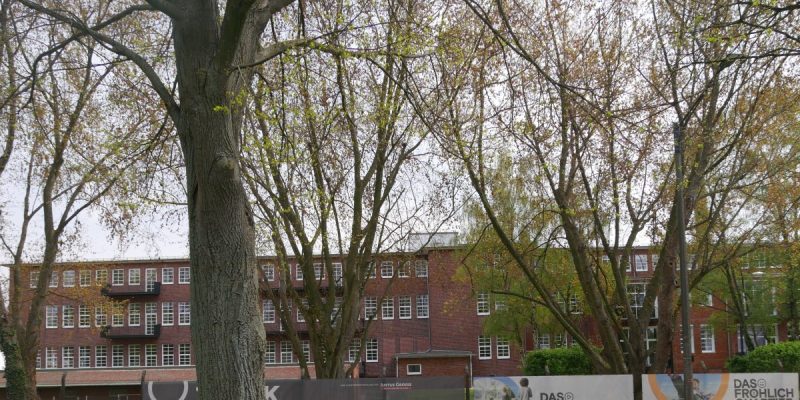 Heizwerk