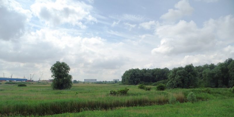 Hochwasserschutzpolder zwischen Senator-Apelt-Straße und Neustädter Hafen