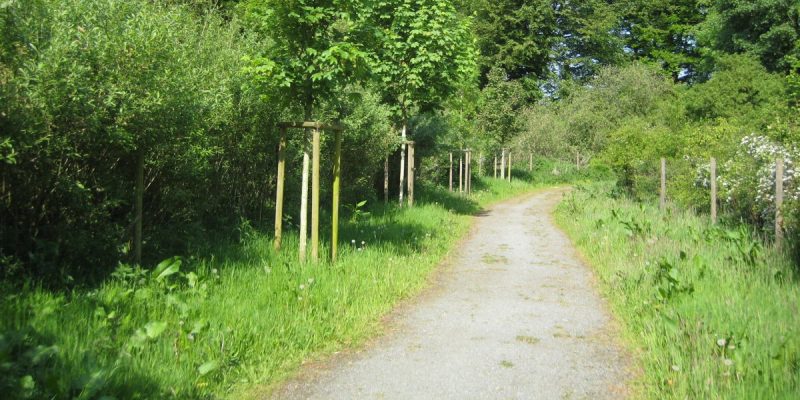 Krietes Wald (Im Holze)