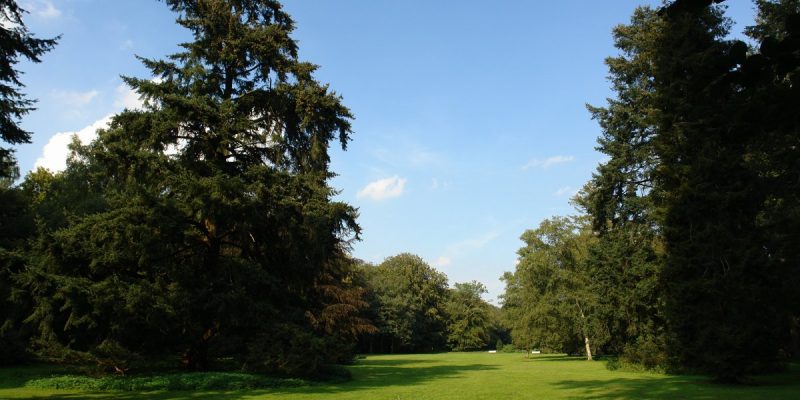 Muhles Park