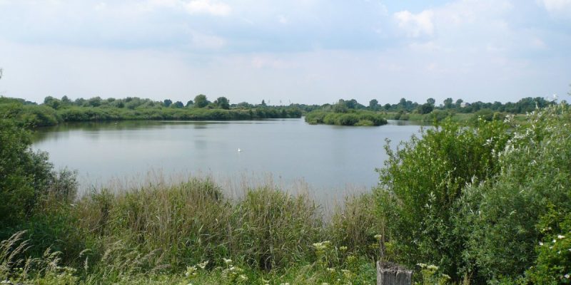 Neue Weser