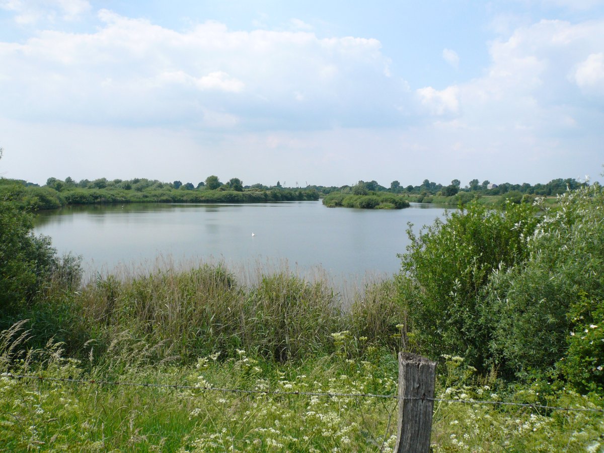 Neue Weser