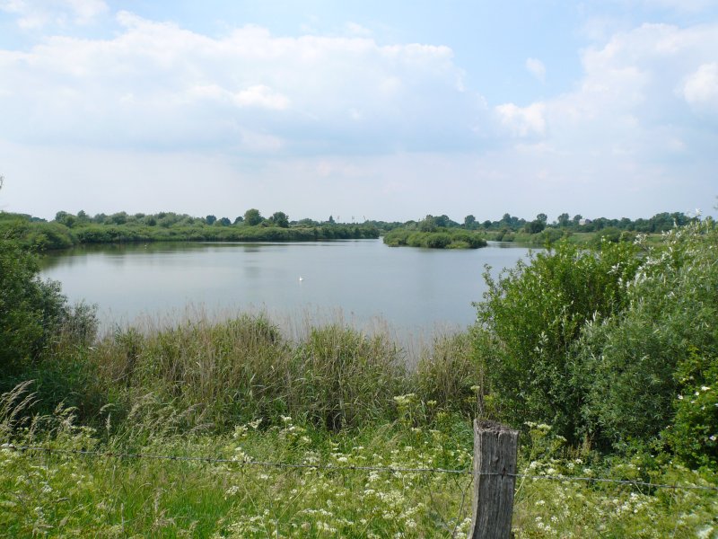 Neue Weser