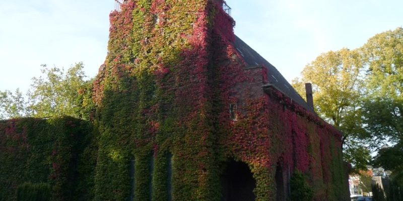Nikolaikirche Oslebshausen