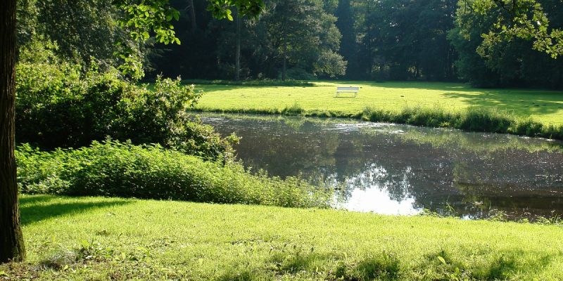 Park Höpkens Ruh
