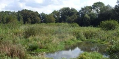 Ruschdahlmoor (Lesumer Moor)