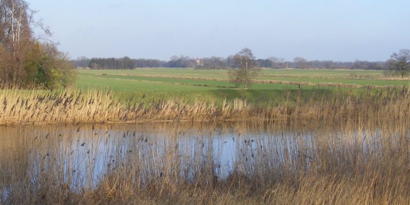 Untere Wümme (Nord 2)