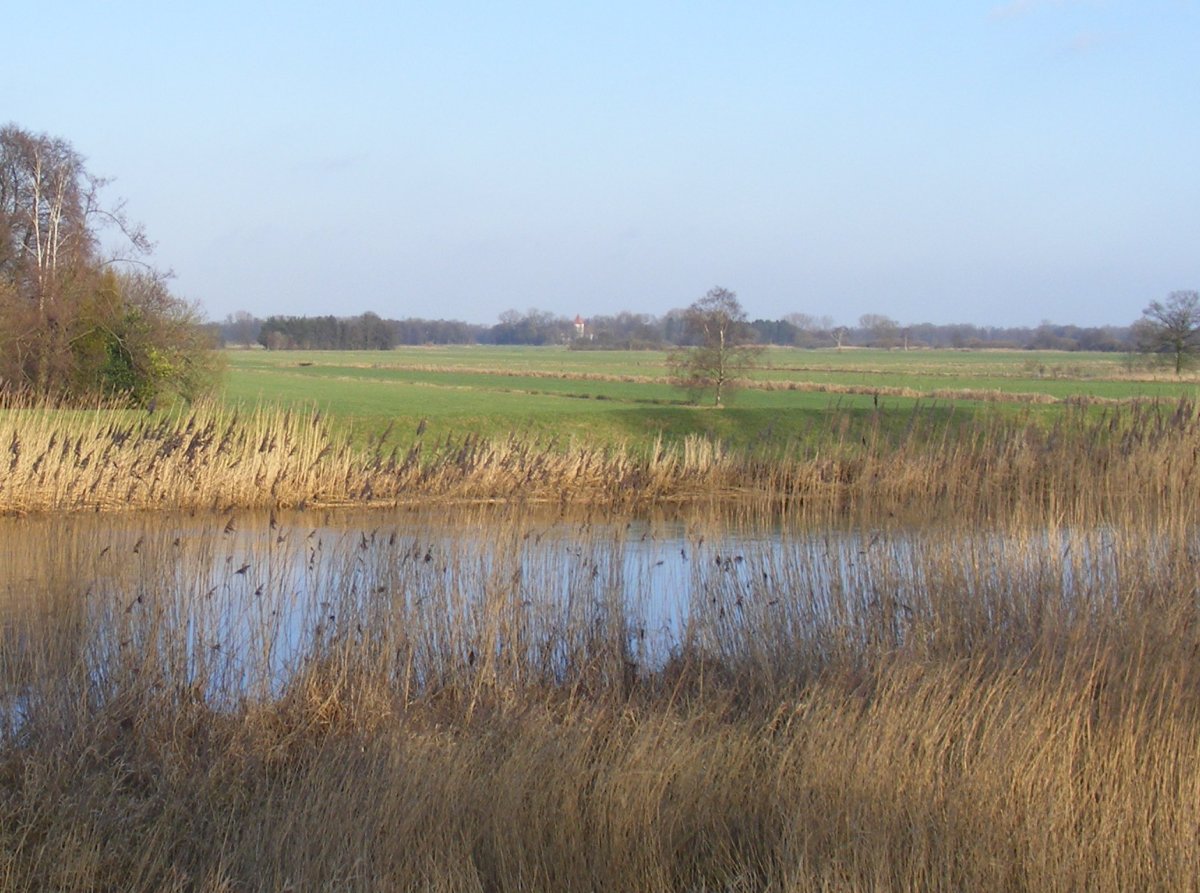 Untere Wümme (Nord 2)