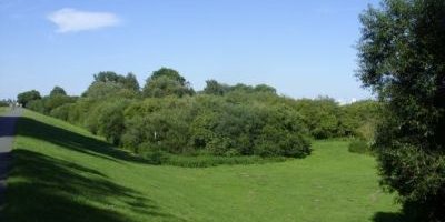 Vogelschutzgebiet Arsten-Habenhausen