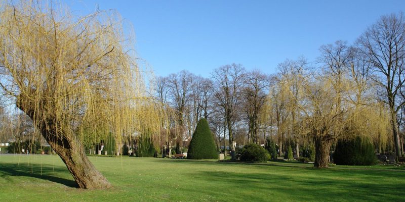 Waller Friedhof