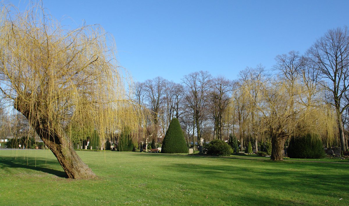 Waller Friedhof