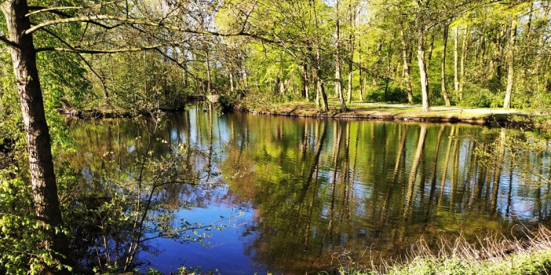 Wolfskuhlenpark