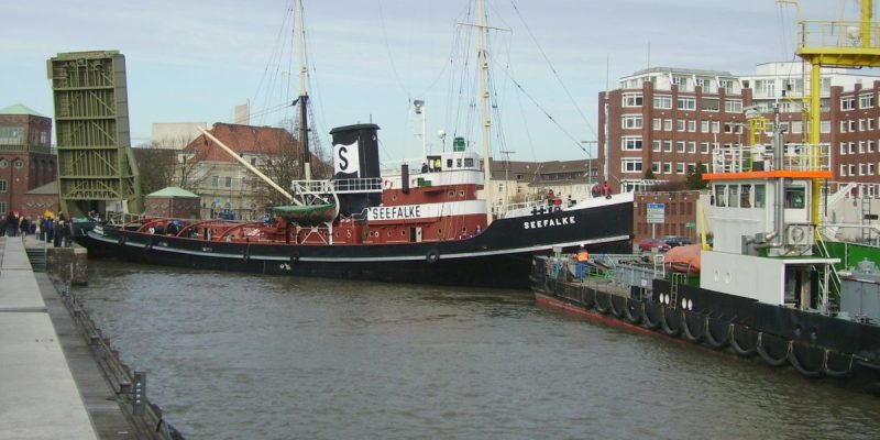 Seefalke