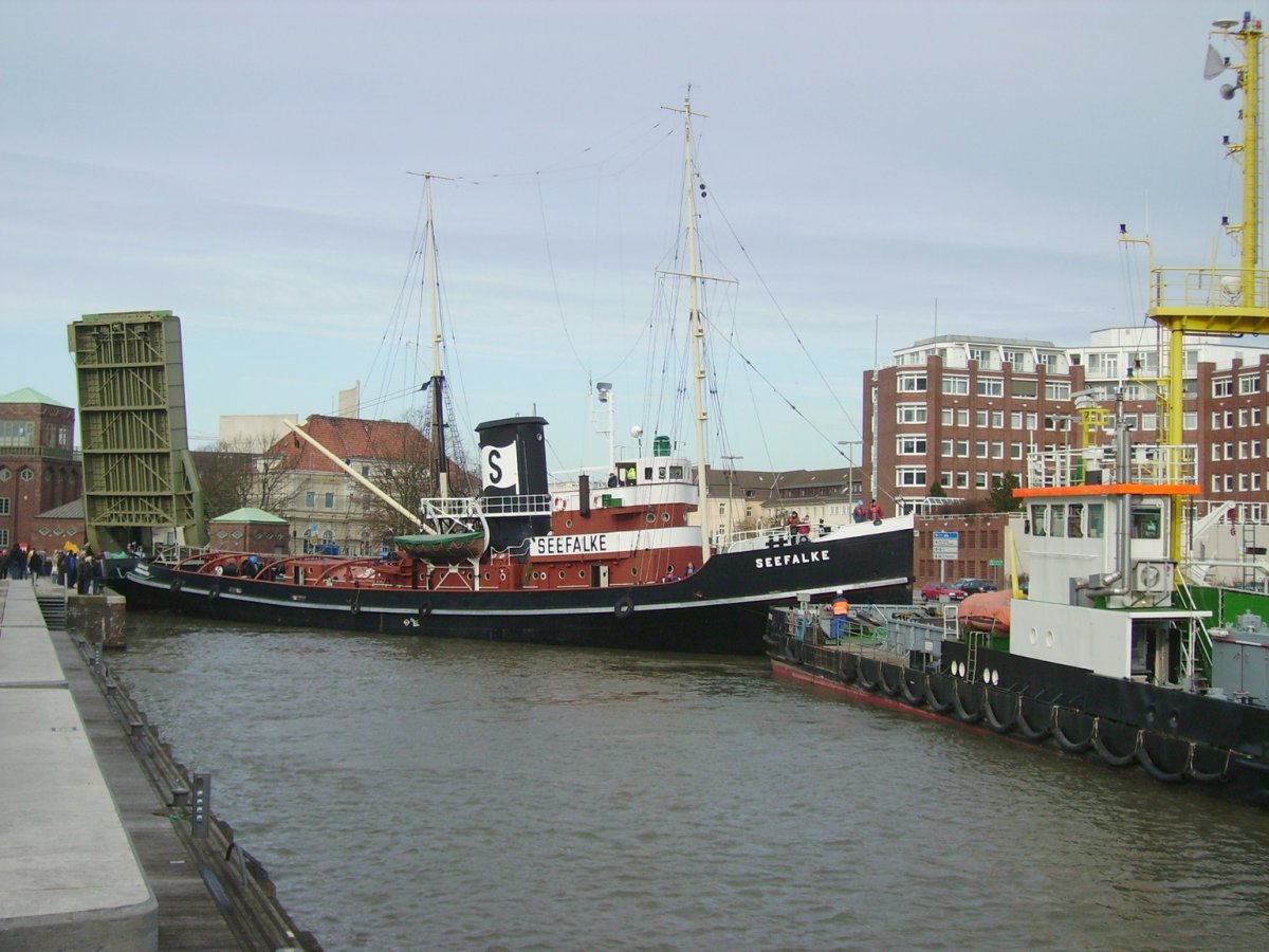 Seefalke