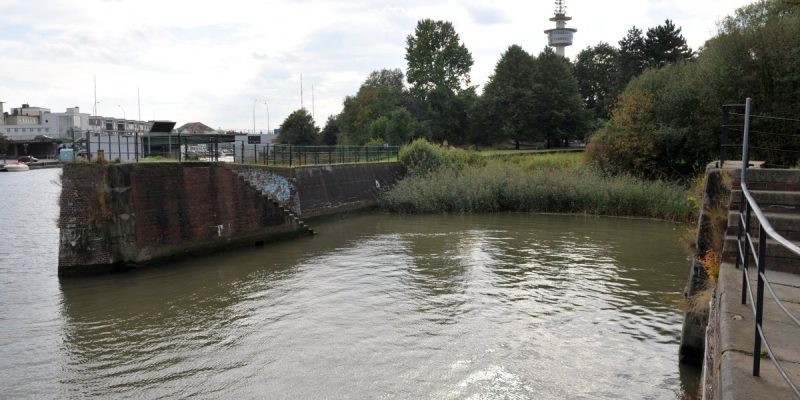 Wencke-Dock