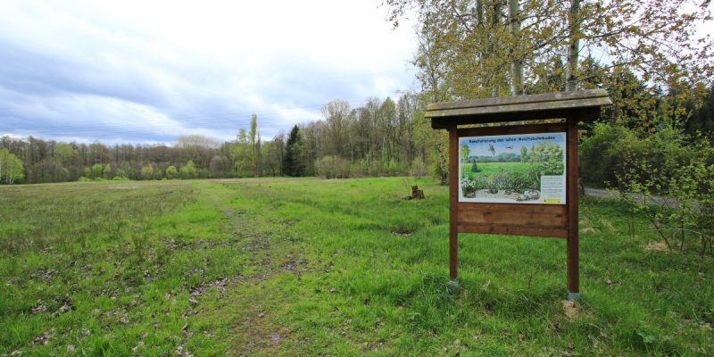 Am nördlichen Zeisigwald