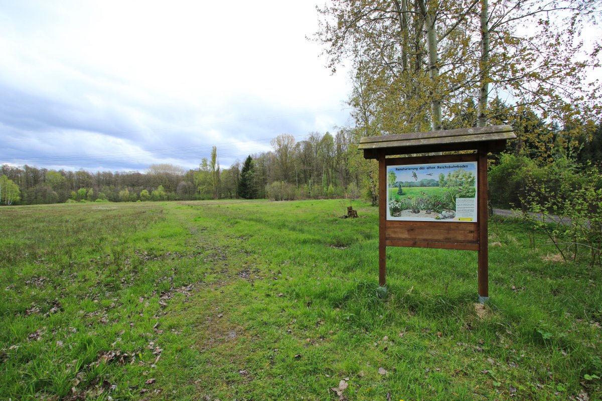 Am nördlichen Zeisigwald