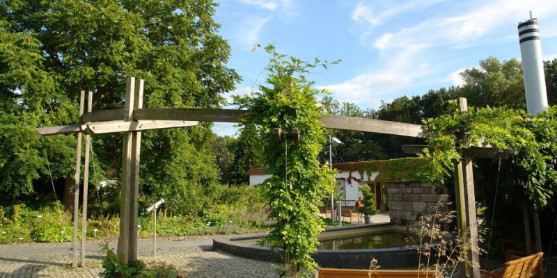 Botanischer Garten