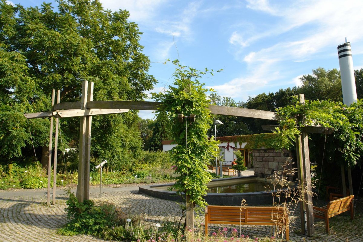 Botanischer Garten