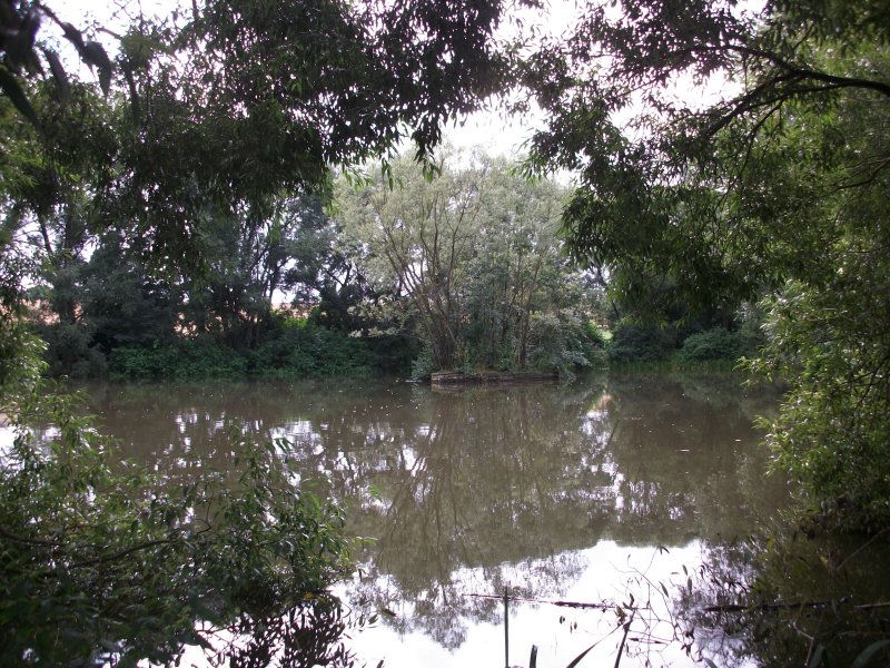 Bräuteich
