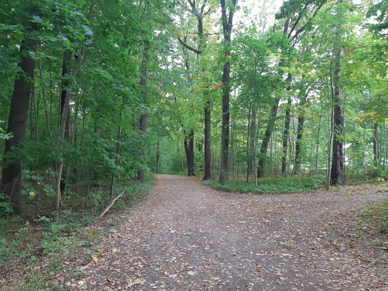 Crimmitschauer Wald