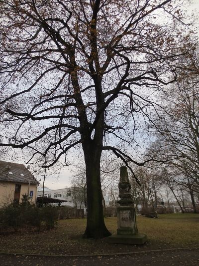 Matthäusfriedhof